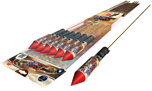  Ракеты Союз-Аполлон  в Воркуте